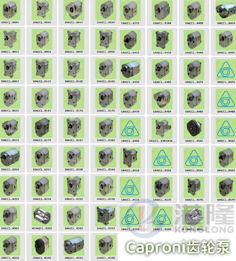 Caproni齒輪泵 Caproni齒輪泵