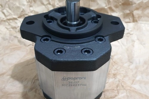 Caproni齒輪泵 Caproni齒輪泵